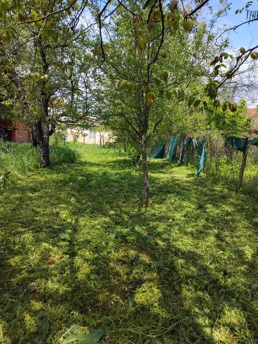 Къща в град Кривол , област Монтана(ВРАЧАНСКО)-0885119498