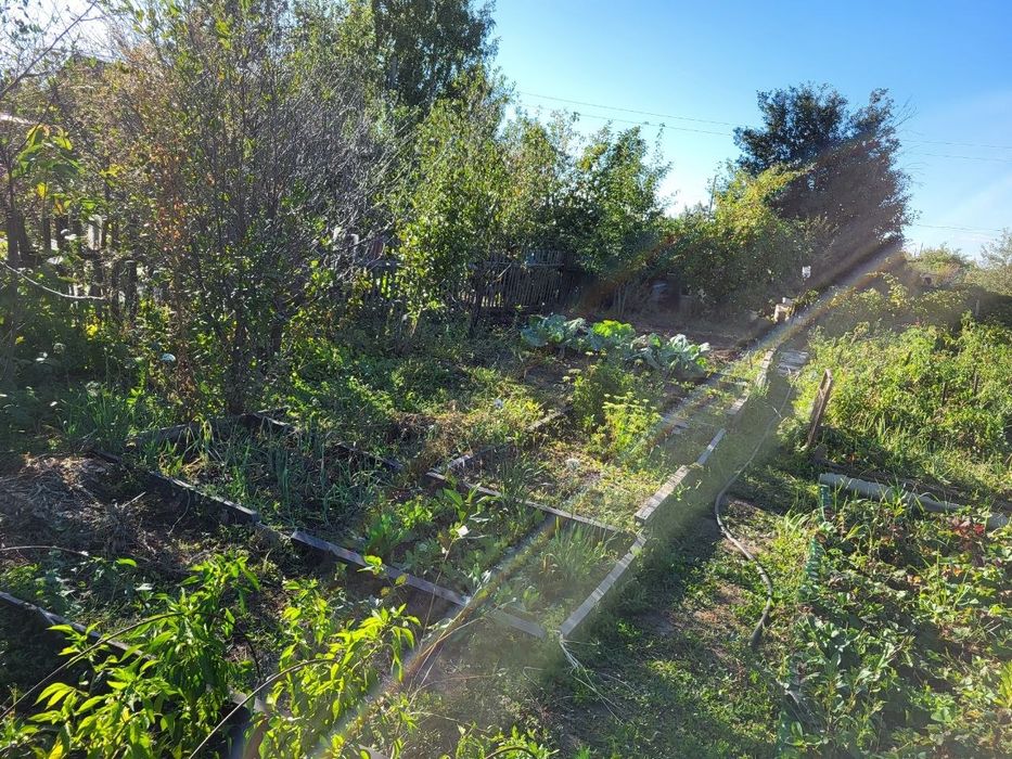Продам дачу в СО Пригородное