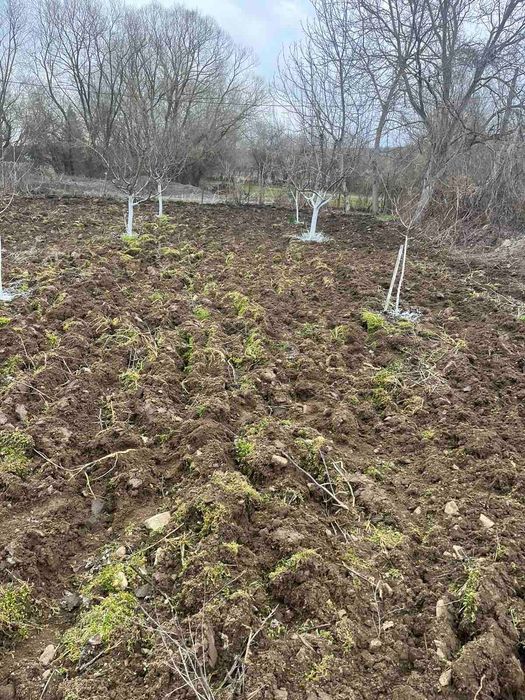 Продава се Парцел в София, Център - 780 кв.м за 41 €/кв.м - Снимка #10