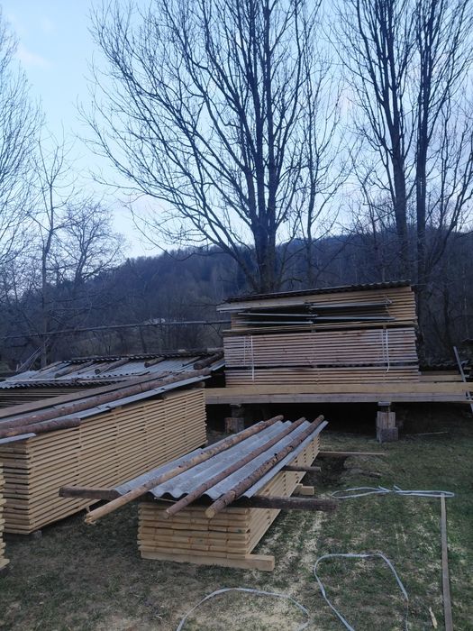 Lambriuri,dublas,postă,paltin,lariță,frasin