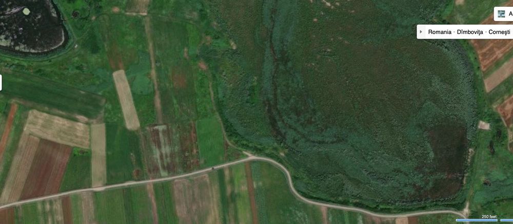 Proprietar Teren Butimanu Lucianca Hodarasti 10.000 mp