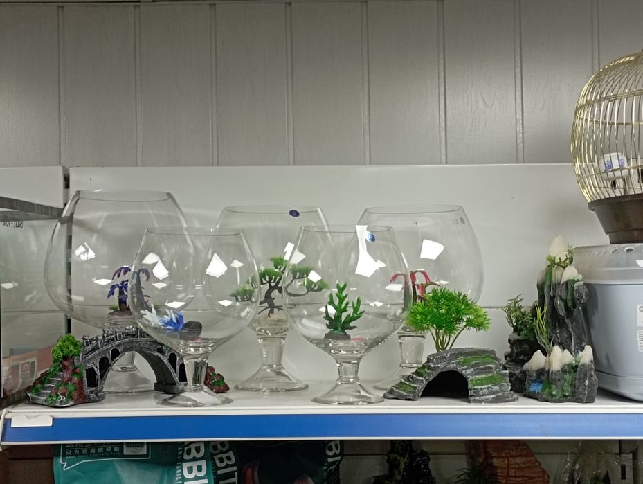 Аквариумы  новые