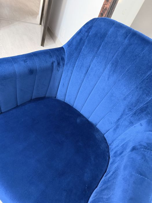 Scaune catifea albastre