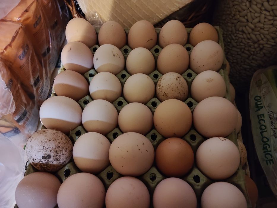 Vând ouă proaspete de țară