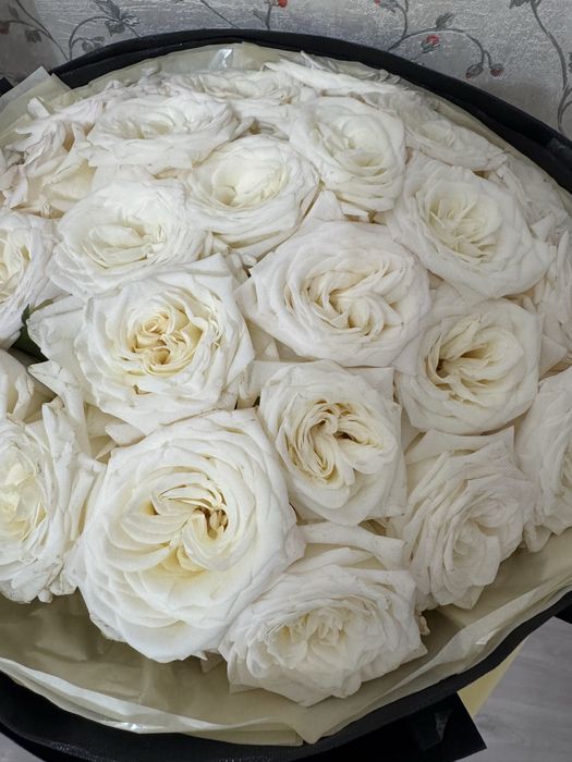 Цветы 25 шт. Белые розы