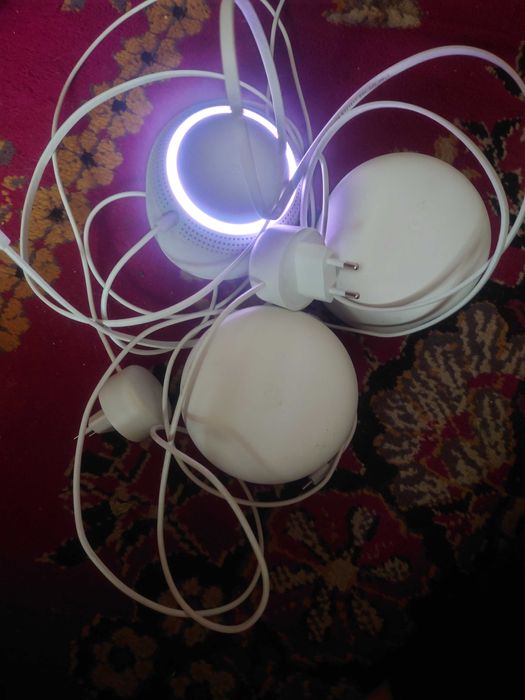 Google nestpoint