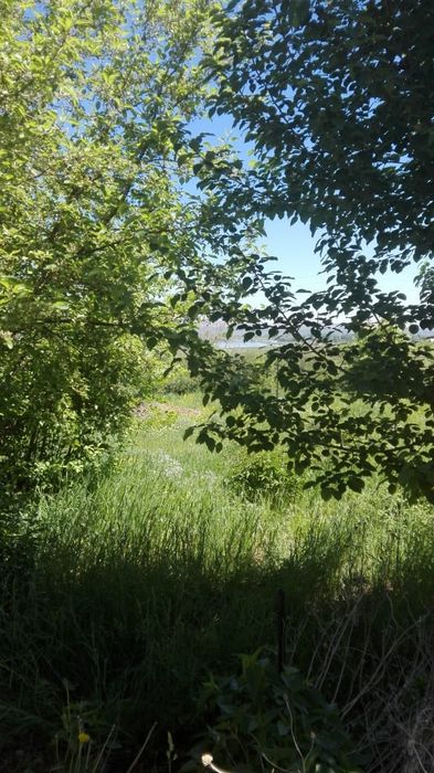 Продам дачу на берегу Иртыша