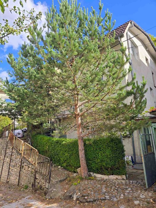 Продава се Къща в с. Нареченски бани, Област Пловдив - 210 кв.м за 185 €/кв.м - Снимка #1