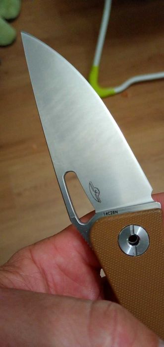 Real steel terra