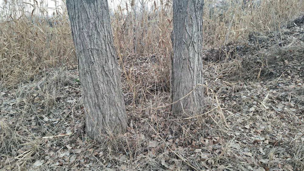 Тераклар 60-65 штук