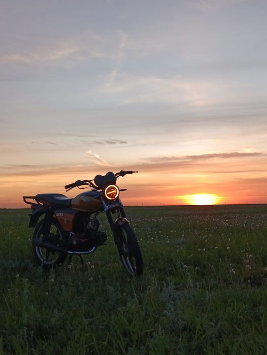 Альфа Рейсер Gs 110