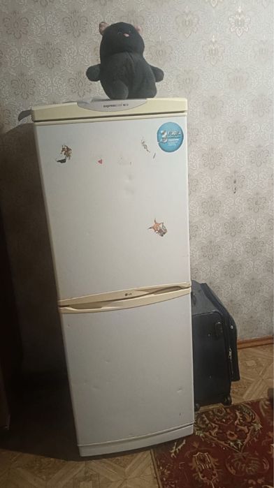 Холодильник рабочий