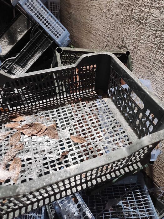 Пластиковые корзины