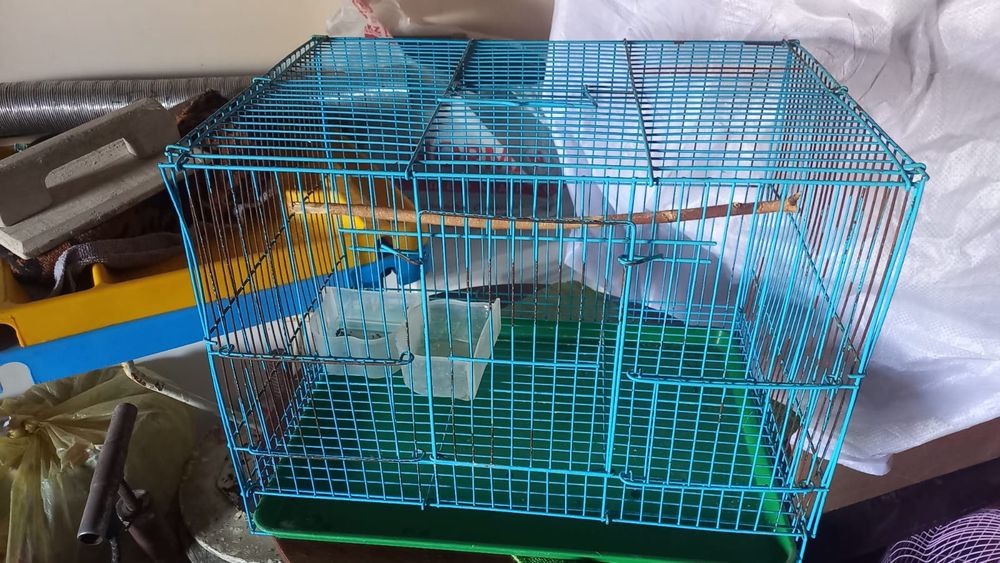 Клетка  для  птиц