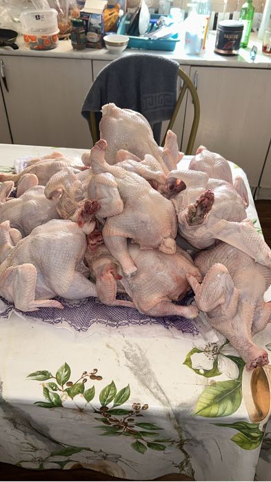 Продам домашнее мясо бройлера