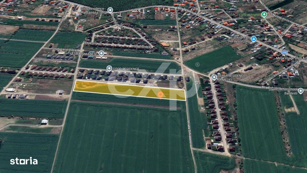Teren 10.000mp parcelat Balotesti