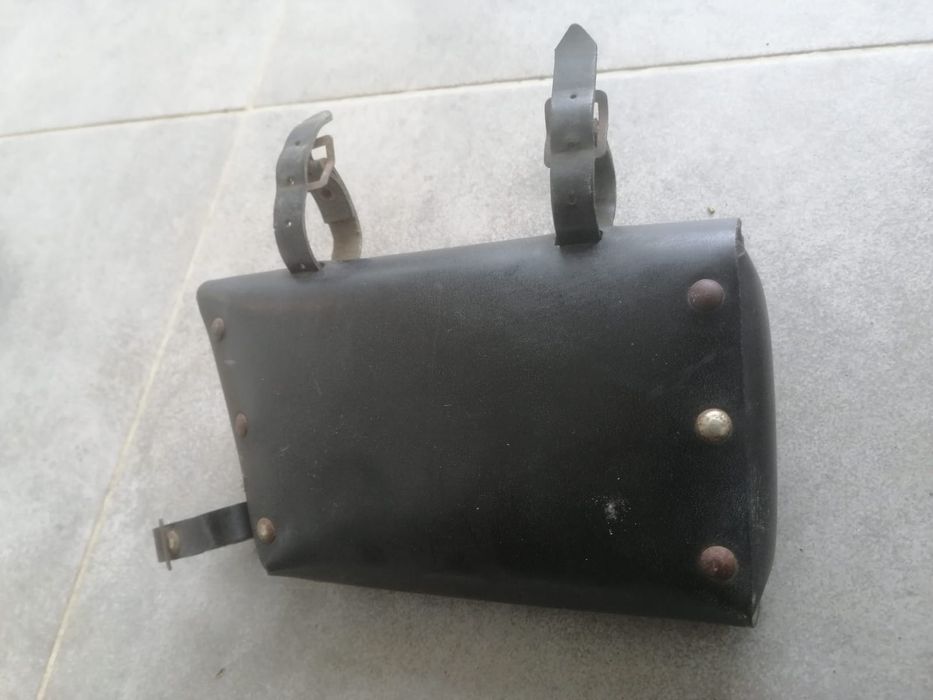 Gentuta pegas carpati