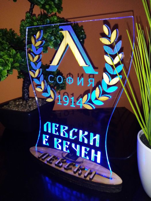 Подарък за фен на Левски София