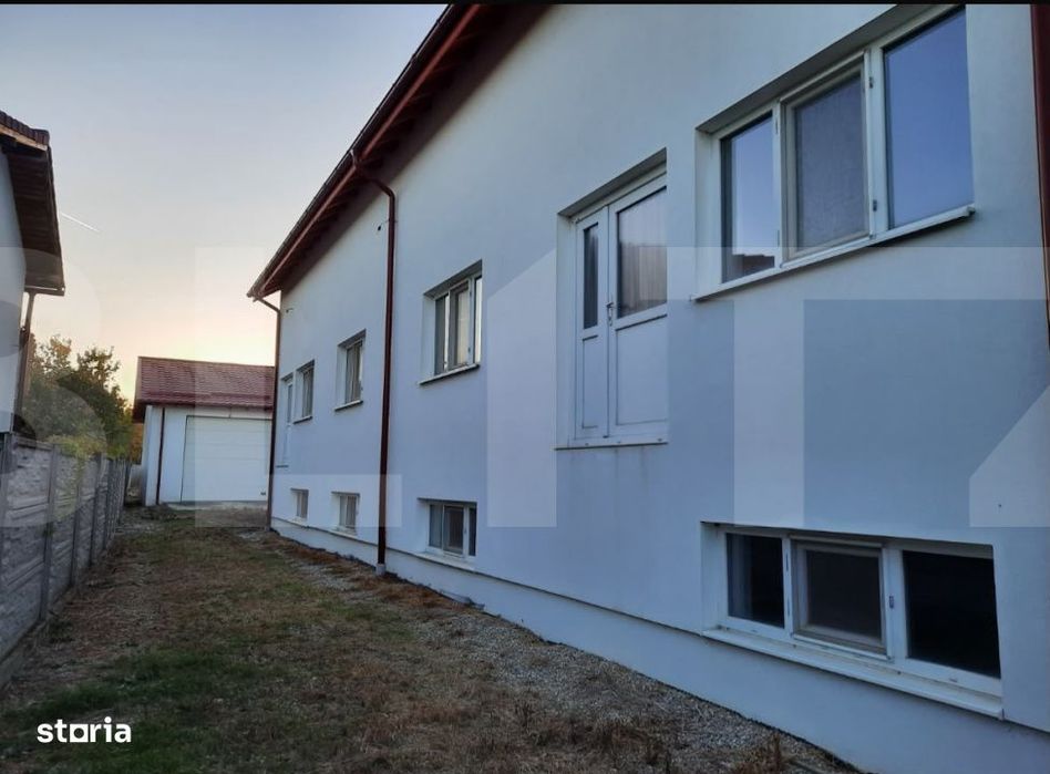 Casa+Spatiu Pentru Afacere/Locuit Iancu Jianu