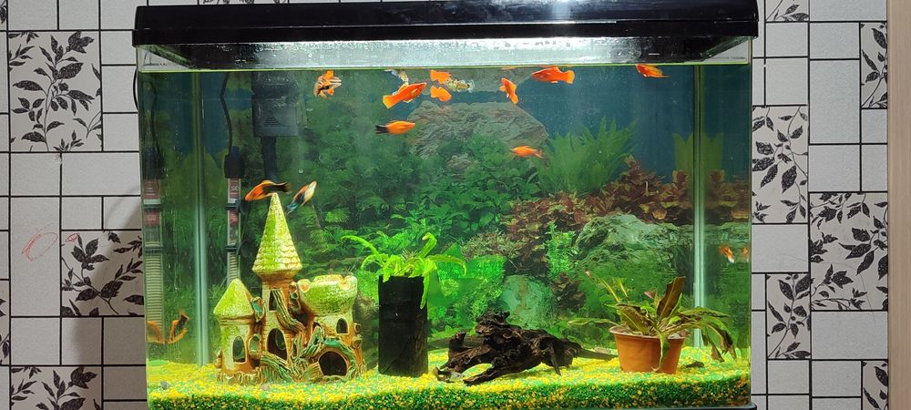 Аквариум заводской