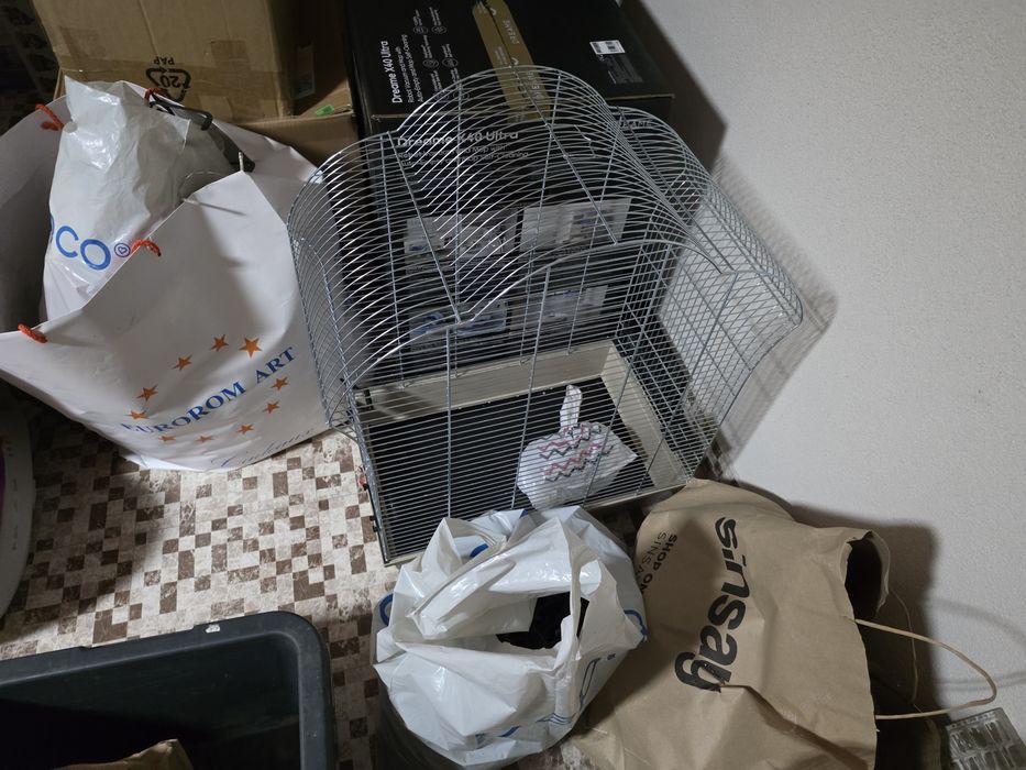 Vand Papagali perusi