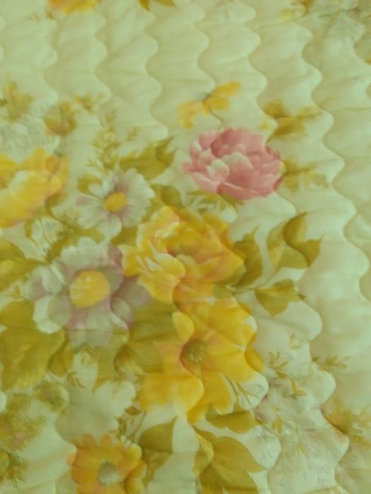 Плкрывало греческое