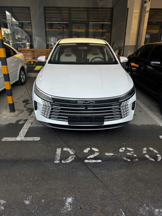 BYD Chazor Dmi 55км 2024й ранги ок