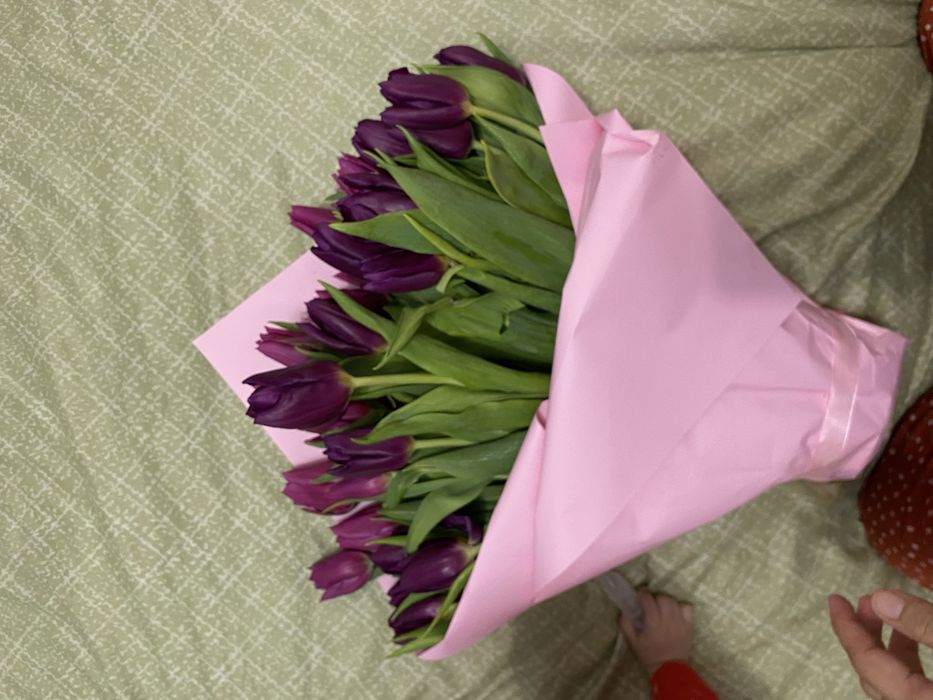 тюлпаны цветы пионовидые