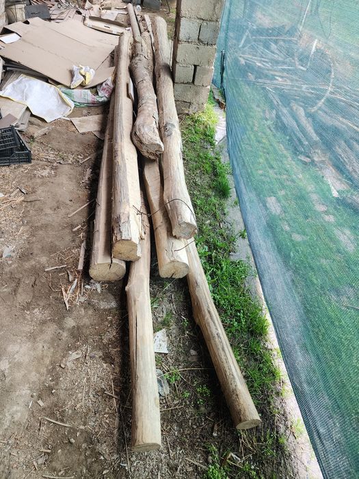 Утин хаммаси мевали бирзил