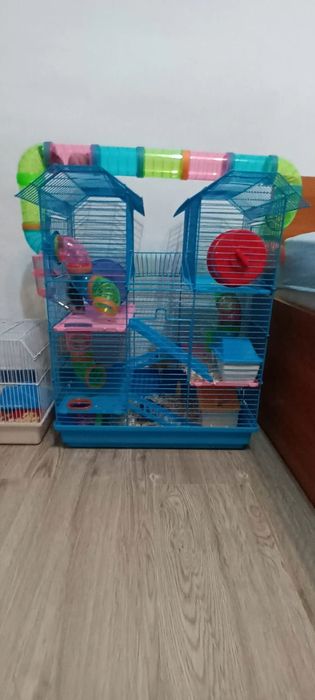 Vând cusca hamsteri