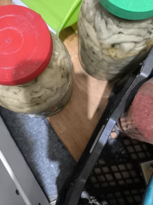 Продам грибы 4литра