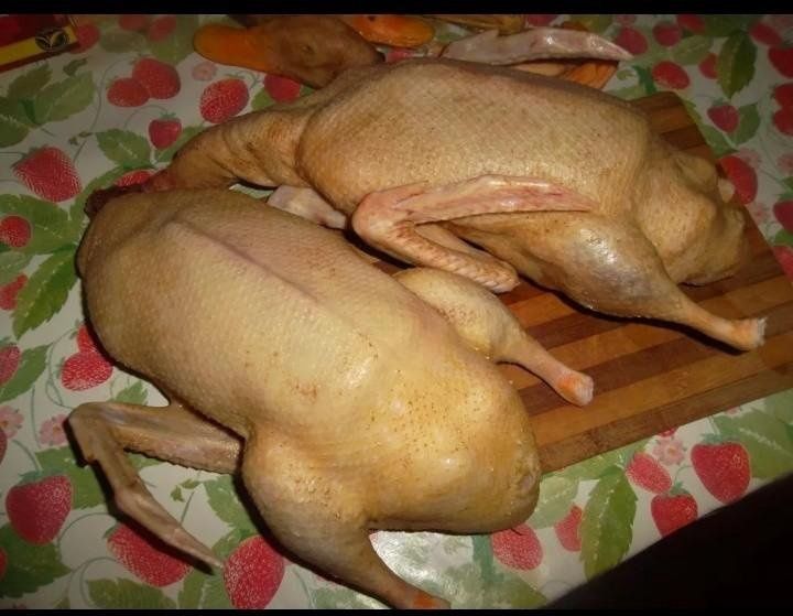 Свежее домашнее мясо утки и мулардов.
