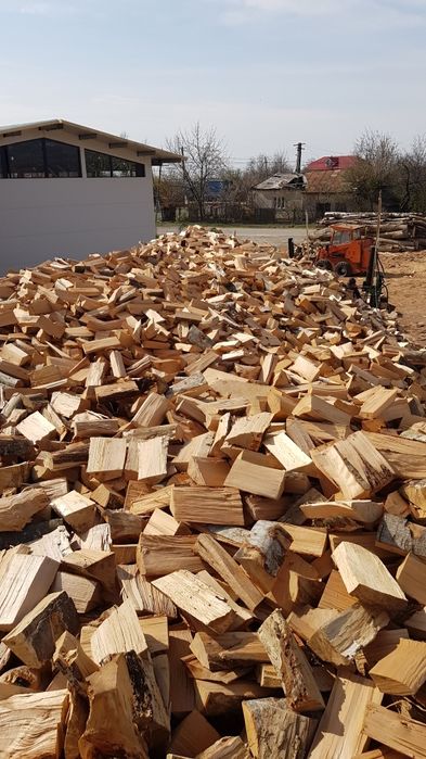 Lemn de foc fag.Depozit Ulmeni