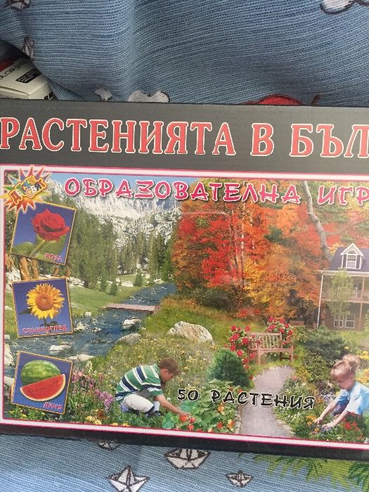 Интерактивни игри