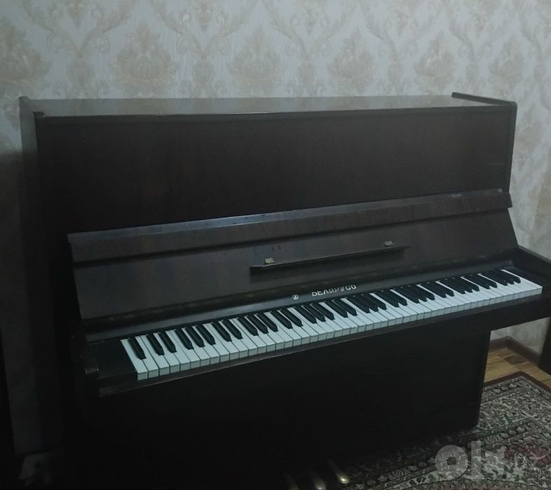 Pionina Belarus sifatli