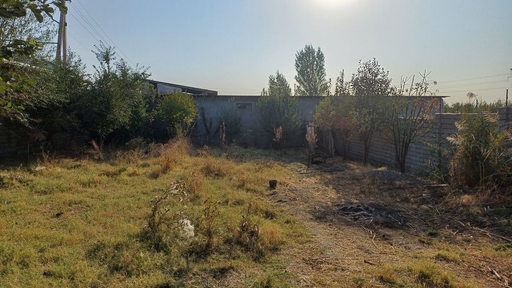 Dala hovli, дачный участок