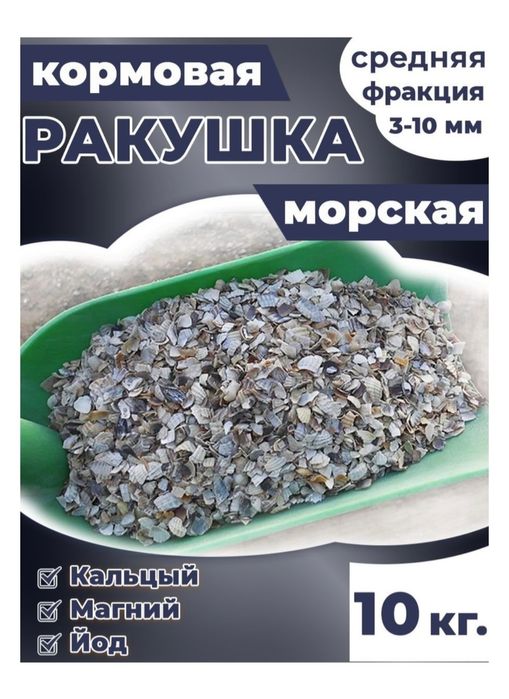 Ракушка морская кормовая