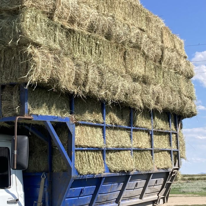 сено тюк и рулон