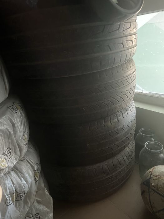 Буу на сезон можно есдит …………………………………………………………………………………………………………………..