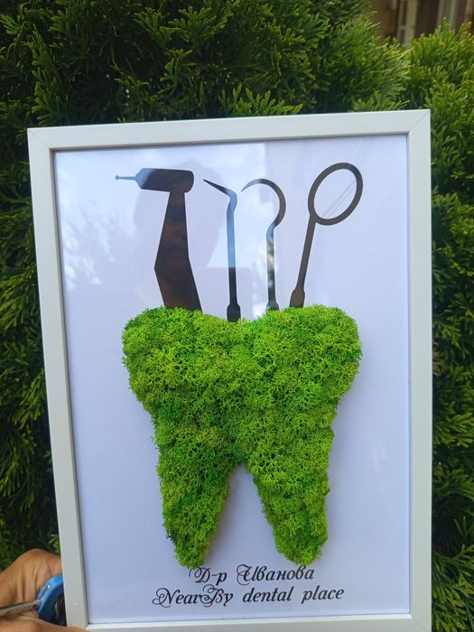 Скандинавски мъх - декорация, пана