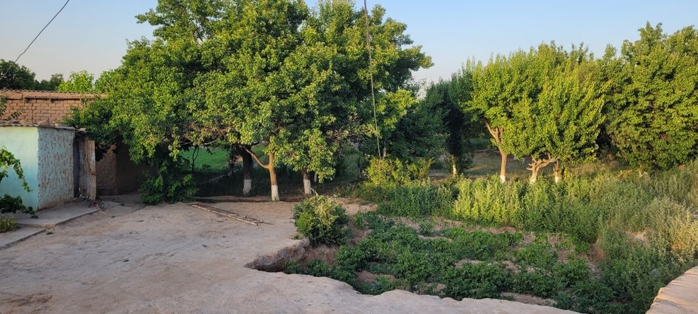 Hovli SotiladI 30 Sotix