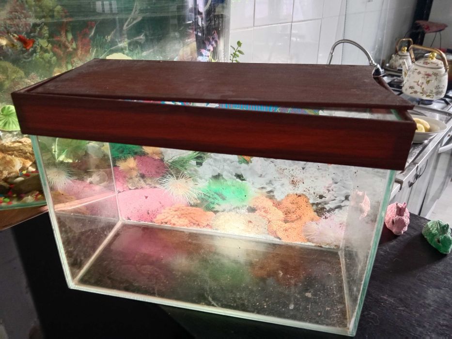 Продам аквариум 10л