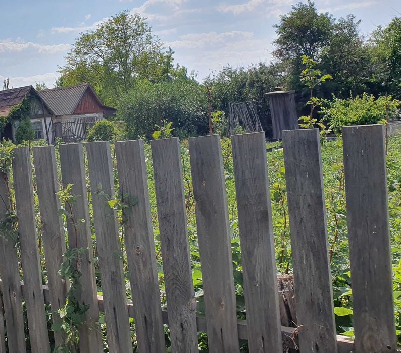 Продам дачный участок