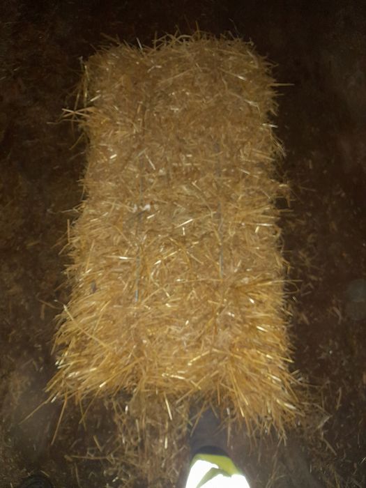 De vanzare Baloti de paie