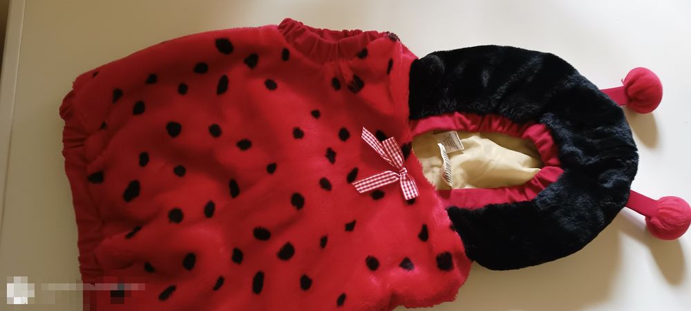 Vesta buburuză și albinuța,copii până în 4ani