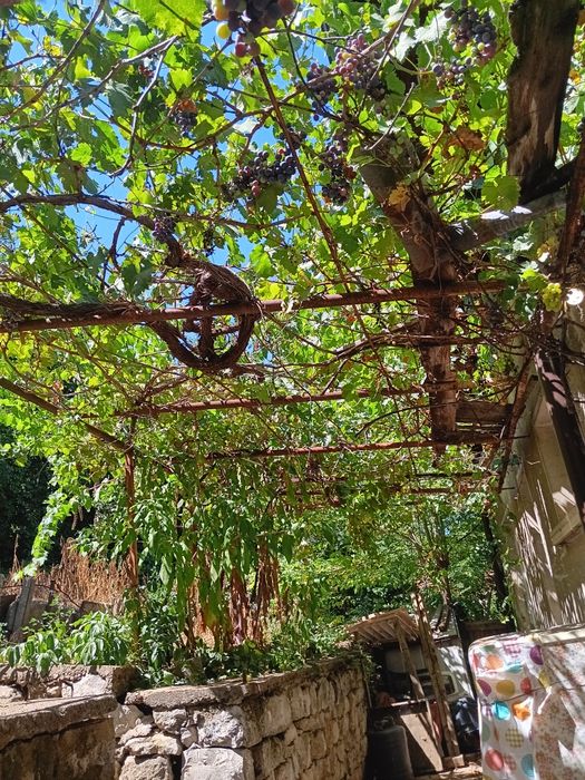 Продава се Къща в Плевен, Мара Денчева - 160 кв.м за 782 €/кв.м - Снимка #14