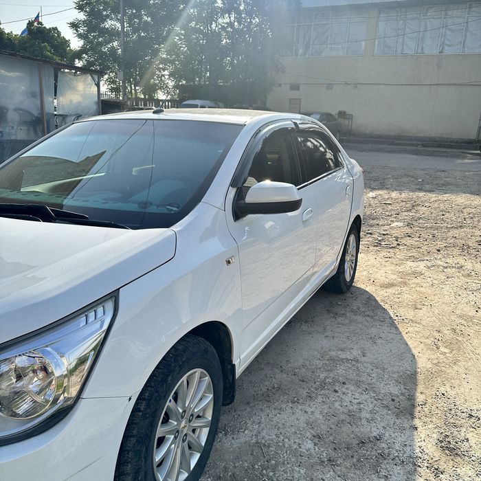 Other Cobalt 2019 — 2