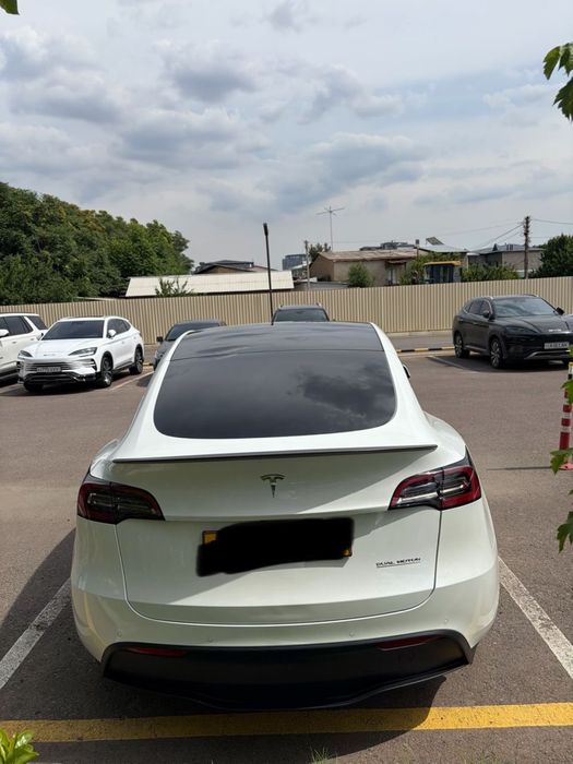 Tesla model y
