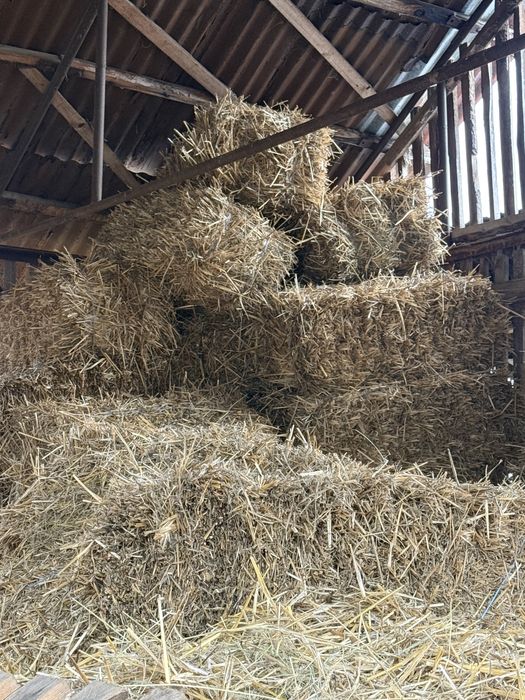 Vand baloti din paie de grau