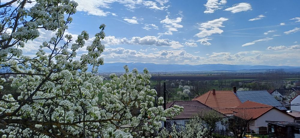 De vanzare casa in Sibiu cu 585 mp teren